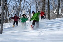 Winter Activities